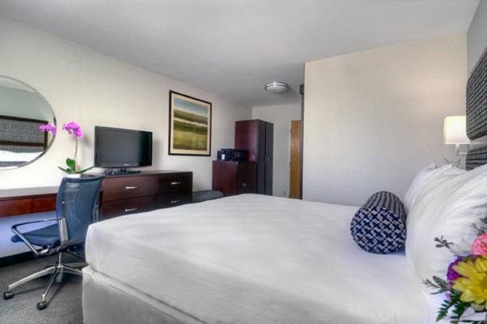 Maple Tree Inn 12/40