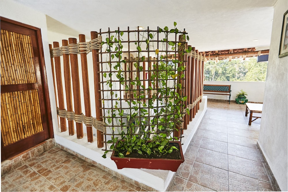 Suites Ixtapa Plaza 3/50