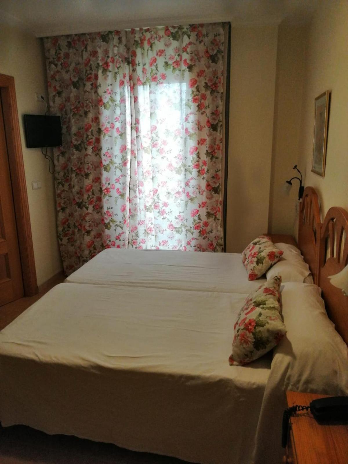 غرفة بسرير مزدوج أو سريرين منفصلين، Hotel Paloma 7/7