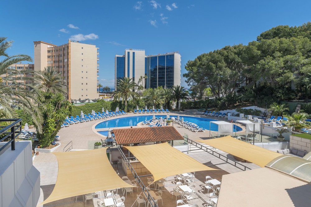 Sol Lunamar Palmanova Apartamentos - Adults Only 50/57