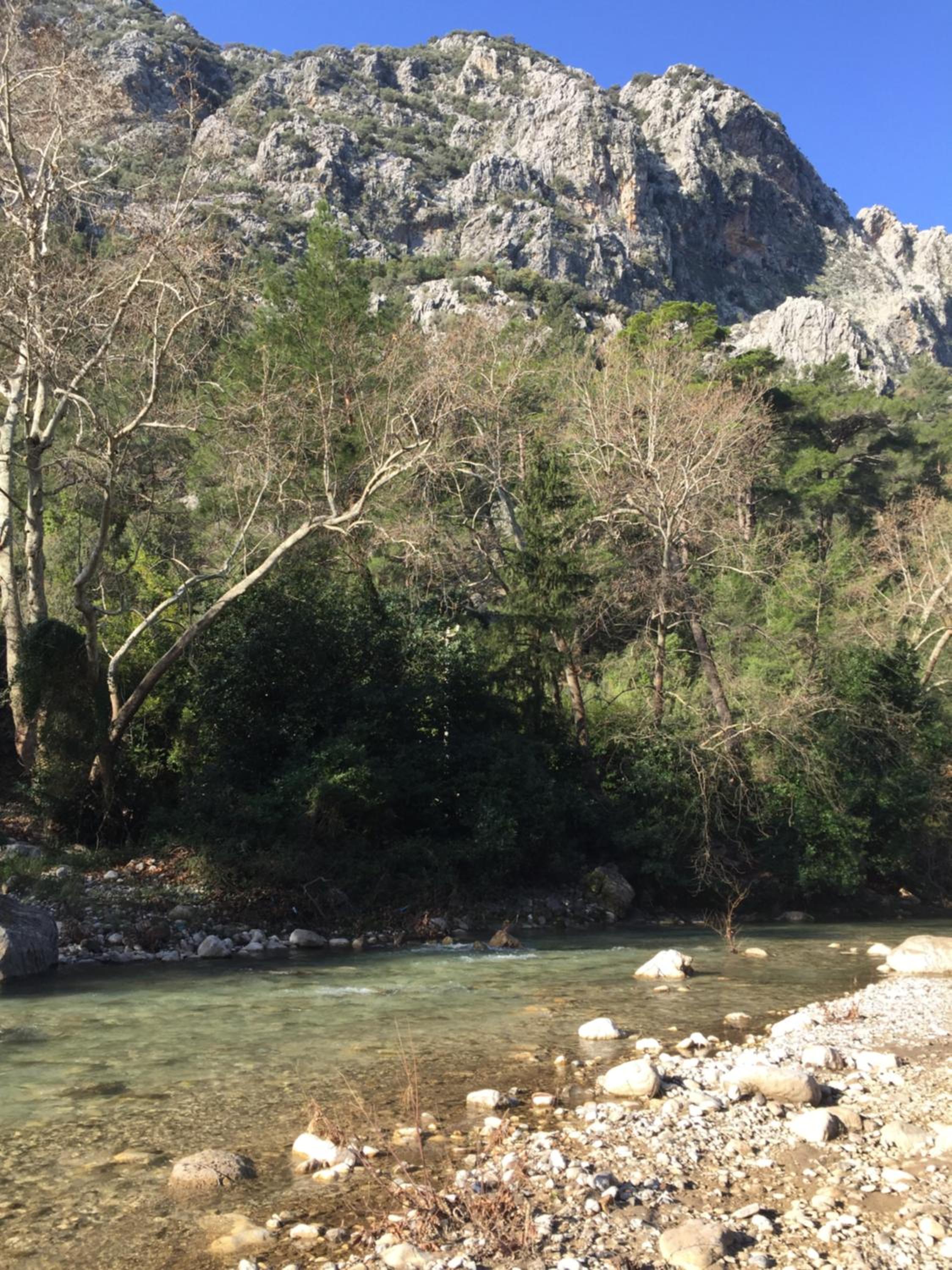 Canario Pension Bungalow 23/50