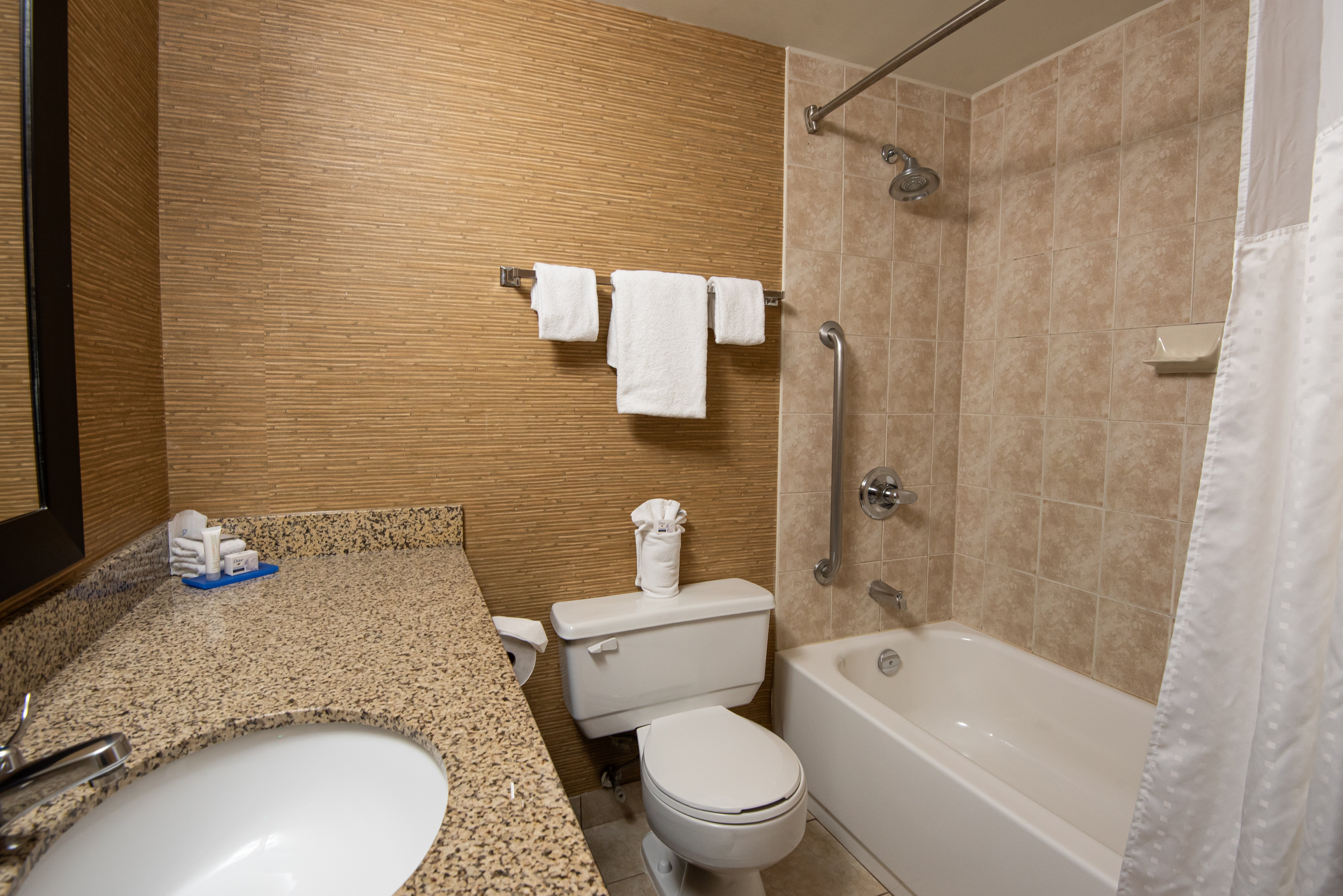 Holiday Inn Express Suites Chatham South 74/75