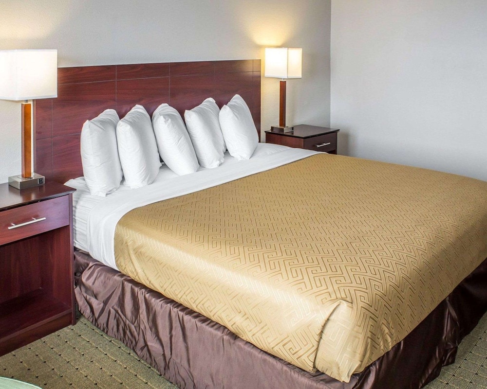 Room, King Bed