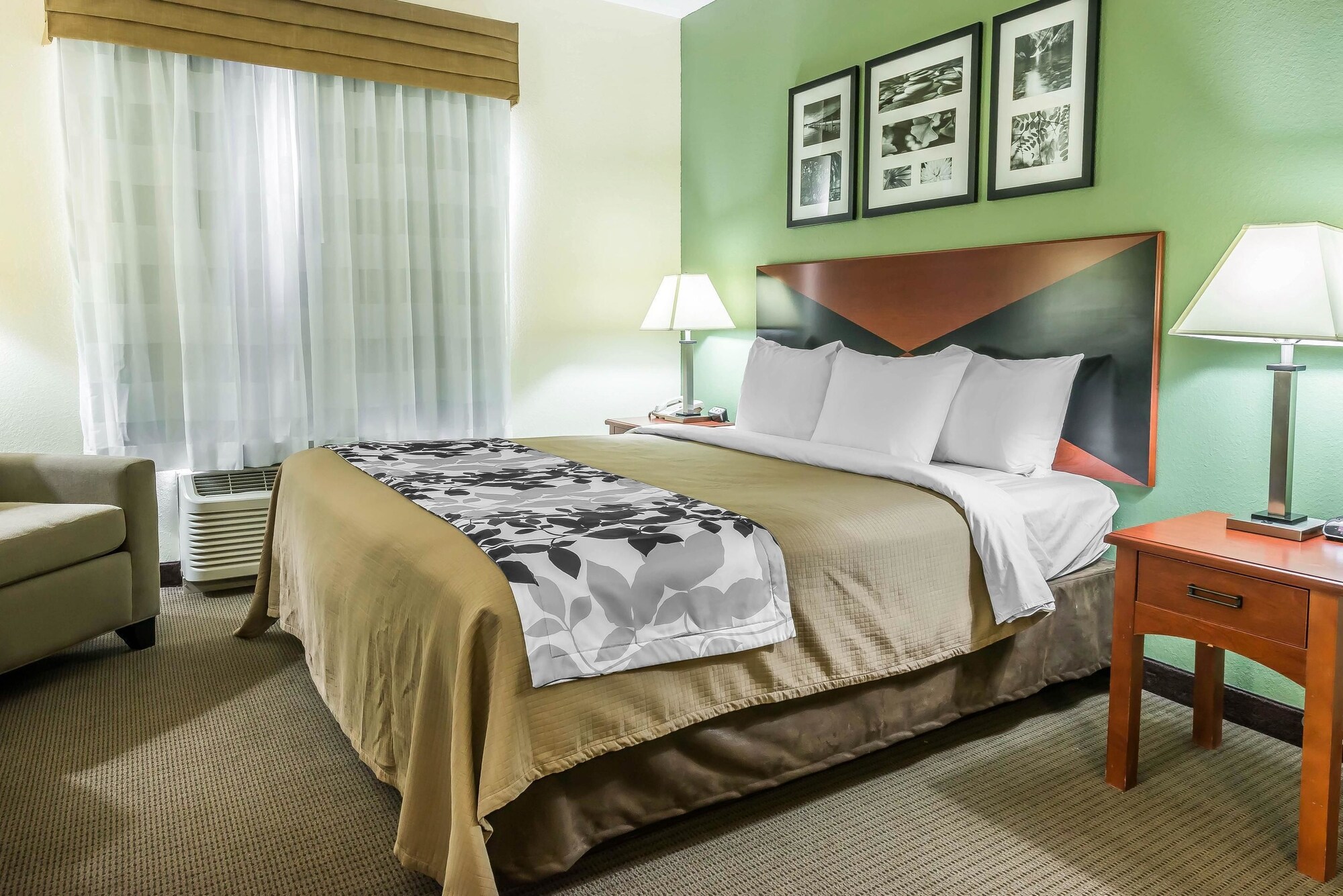 ROOM, KING BED, ACCESSIBLE