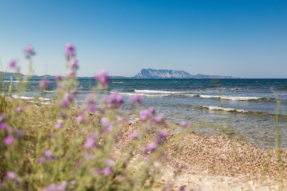 TH San Teodoro Liscia Eldi Village 26/40