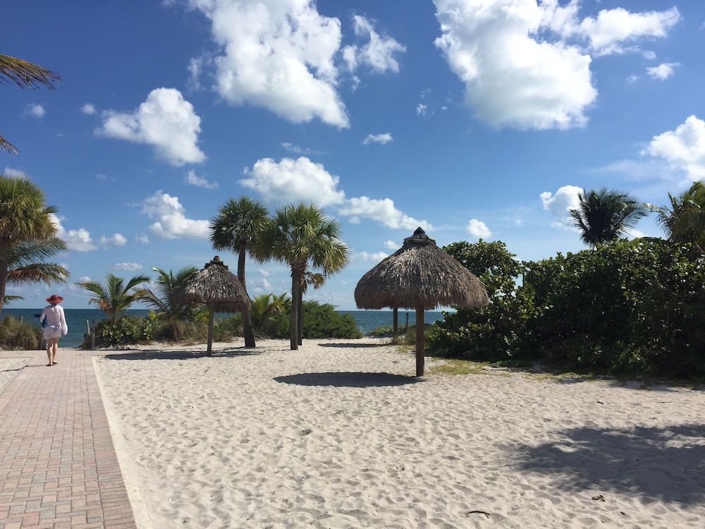 Beach Haus Key Biscayne 38/50