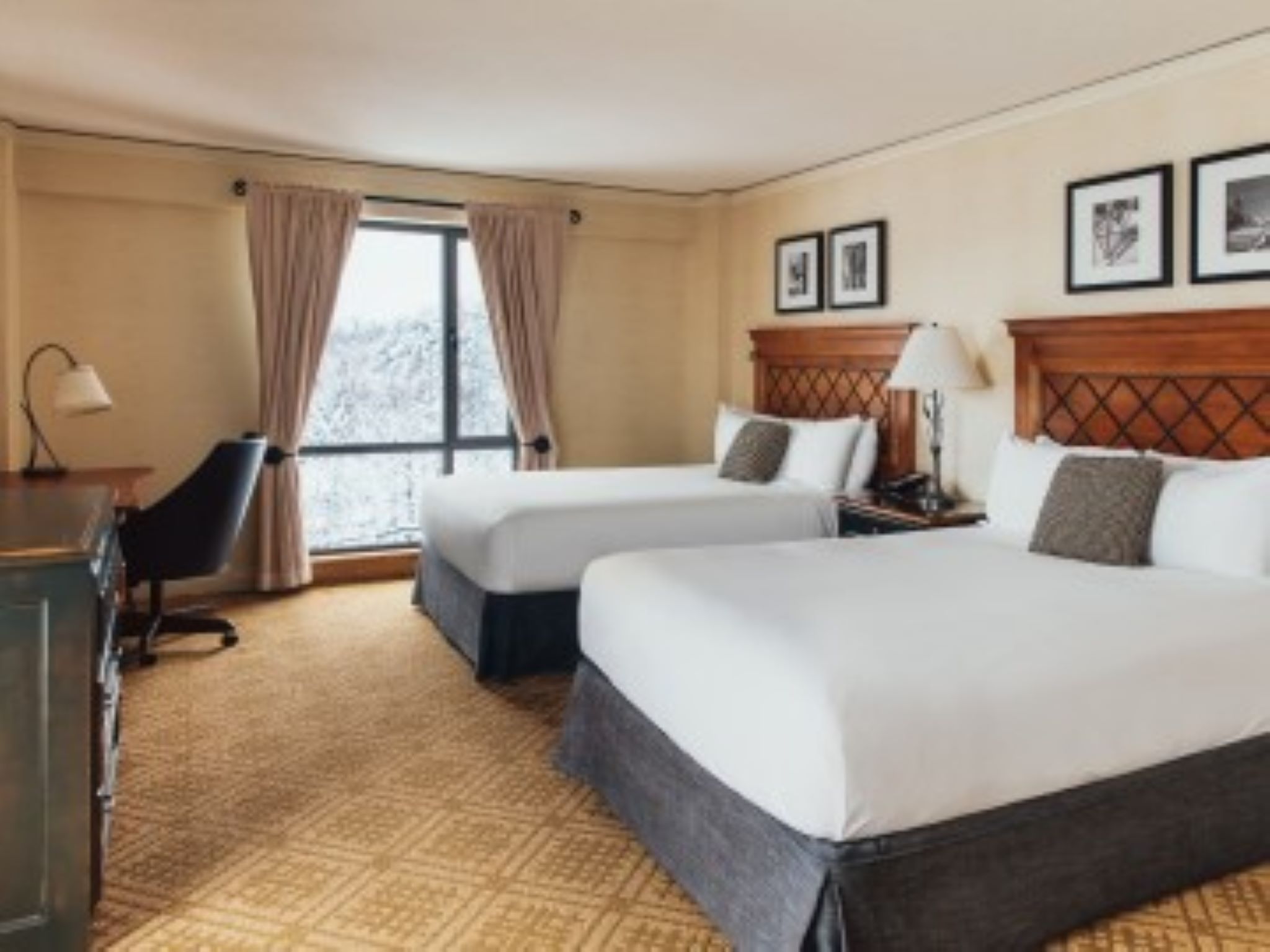 Room, Queen Bed