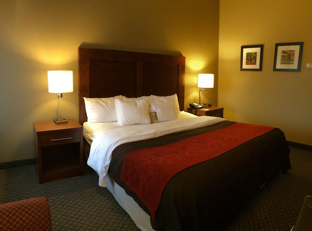 Comfort Inn & Suites Christiansburg I-81 13/36