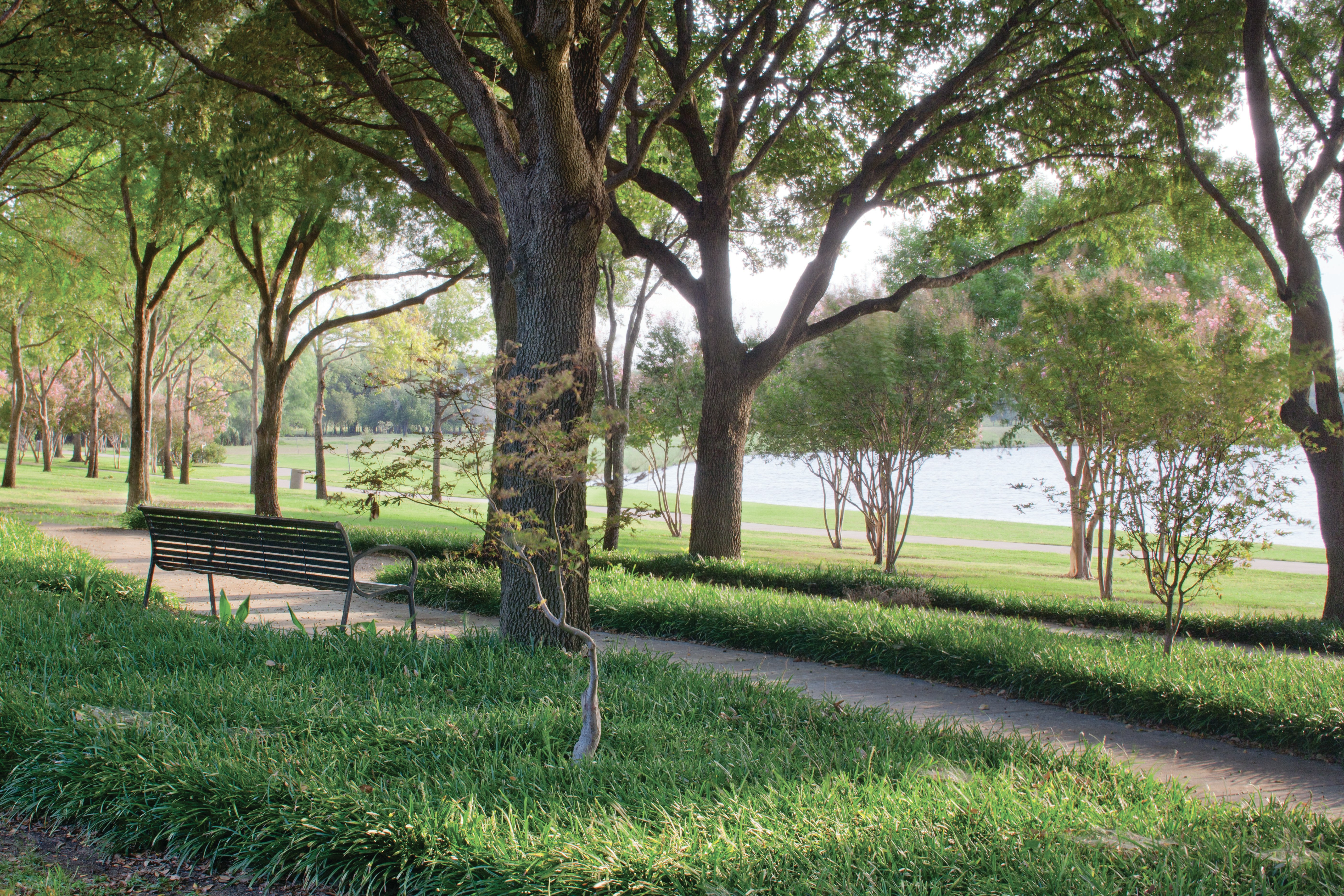 DoubleTree by Hilton Hotel Dallas - Farmers Branch 46/47