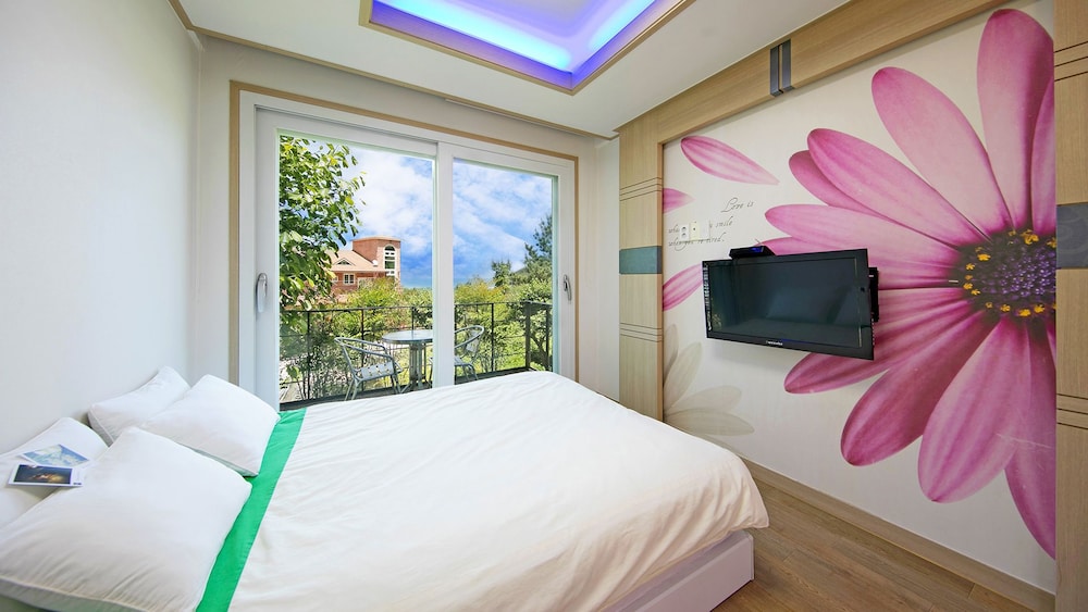 Hanulbora Pension 10/50