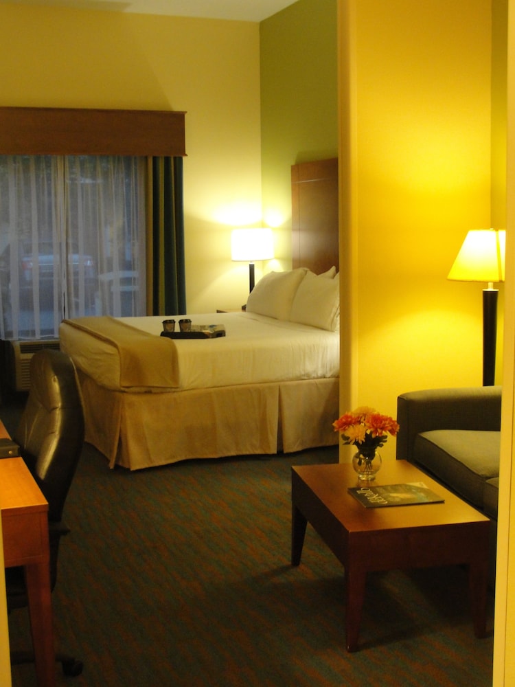 Holiday Inn Express Hotel Suites Atlanta East Lithonia 47/66