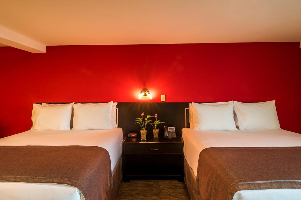DELUXE, SUITE