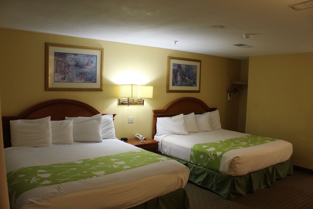Studio, Suite, 2 King Beds