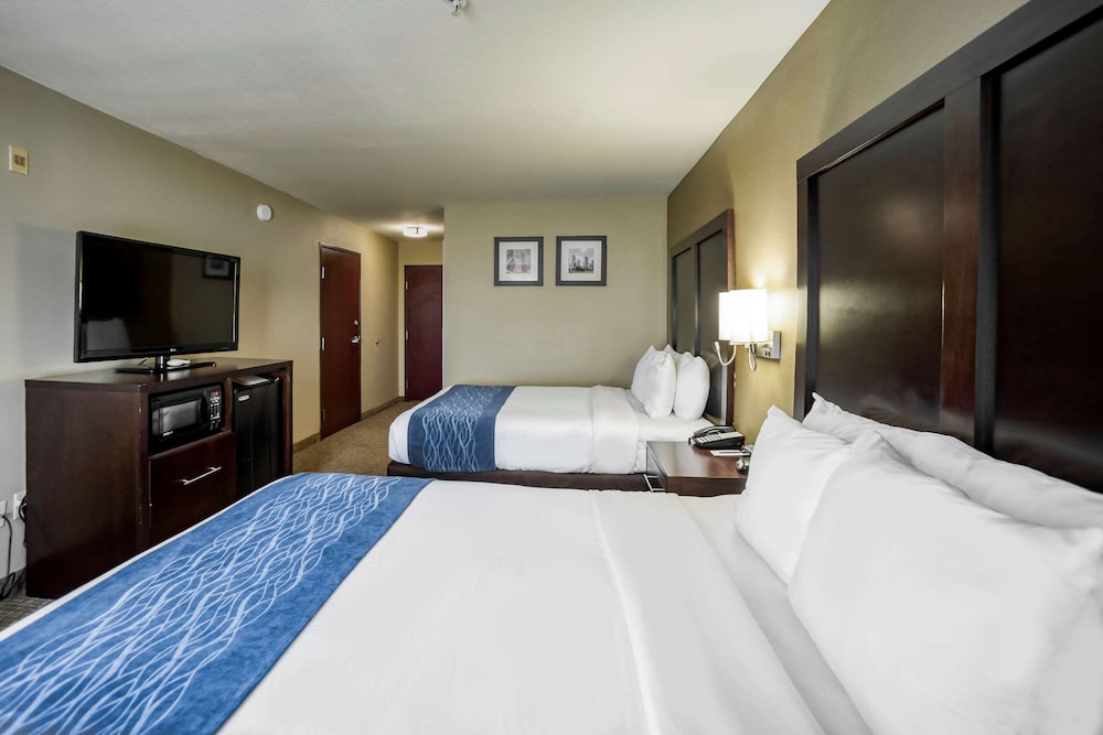 Comfort Inn Suites Fm1960 Champions 24/55