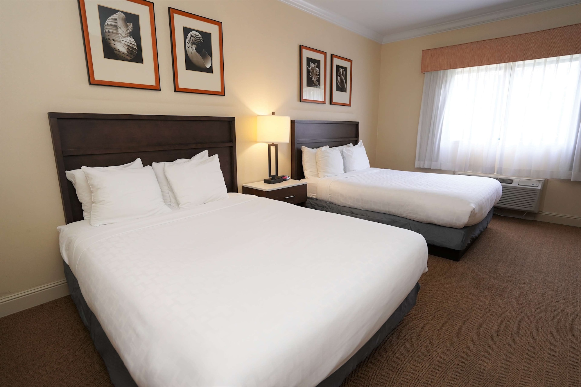 Standard, 2 Queen Beds, Accessible