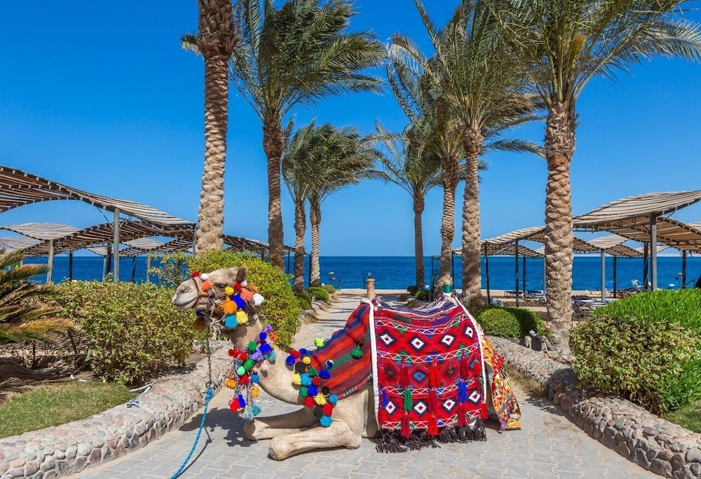 Sphinx Aqua Park Beach Resort 62/74