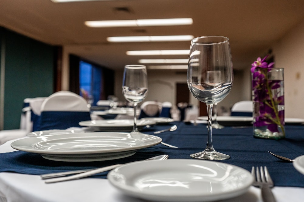 FENIX GUADALAJARA酒店(FENIX GUADALAJARA) 图片4