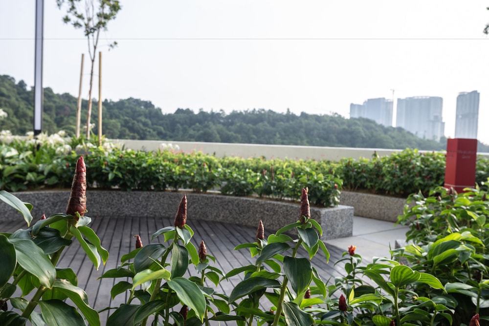Ramada by Wyndham Meridin Johor Bahru 58/67