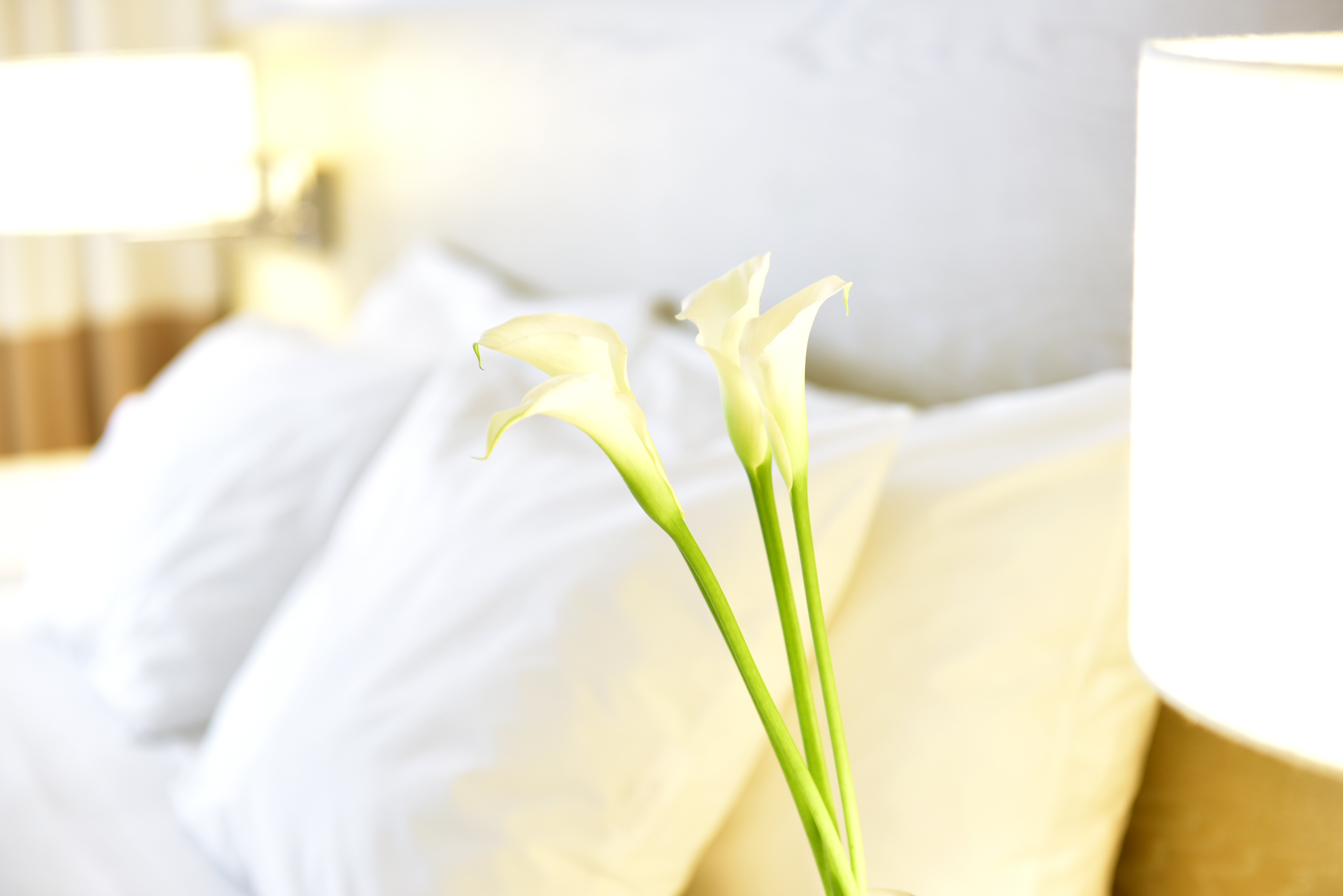 South Beach, King Bed