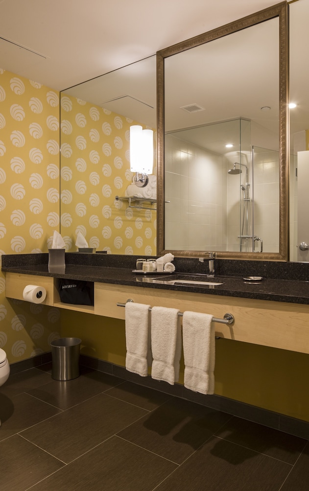 Hotel Indigo Pittsburgh East Liberty 20/37