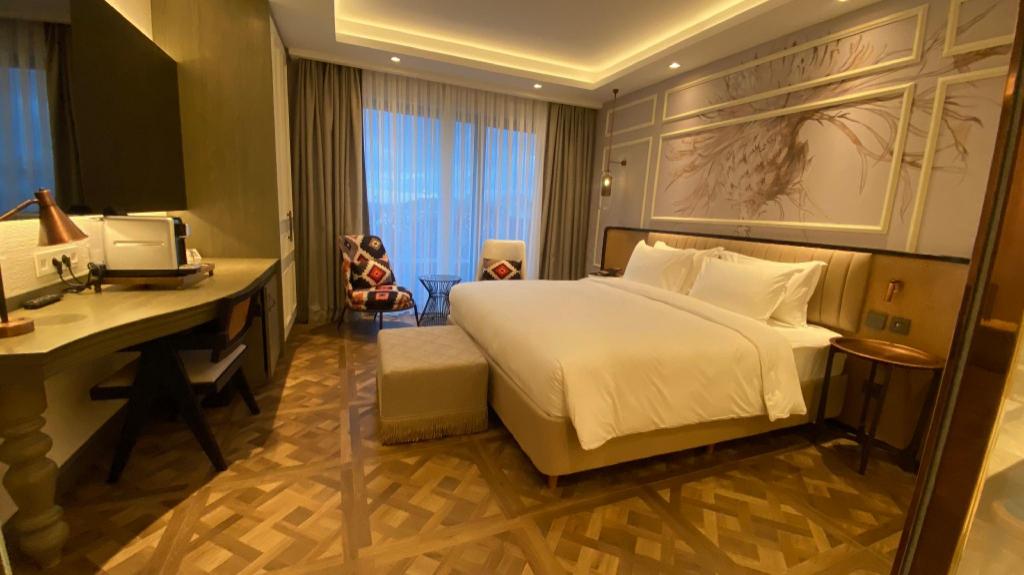 جناح ديلوكس بسرير كينج بإطلالة على المدينة مع أريكة، Burdock Hotel Istanbul, Autograph Collection 3/6