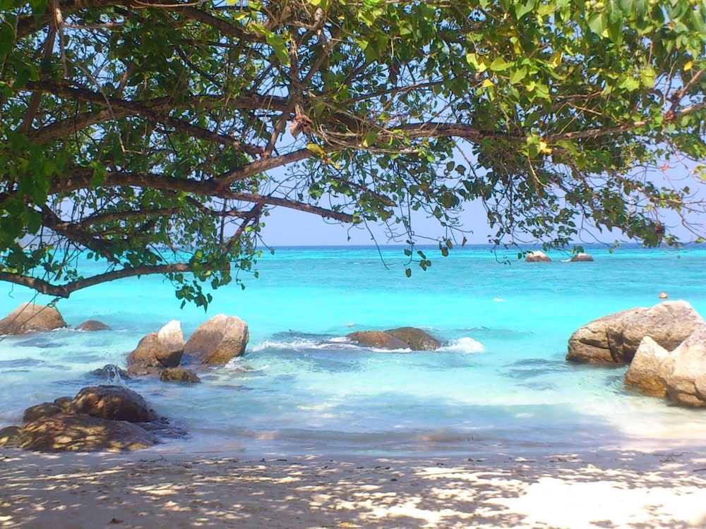 Ten Moons Lipe Resort 32/50