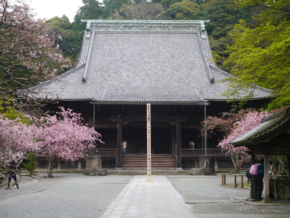 Guest House Kamejikan - Hostel 6/49