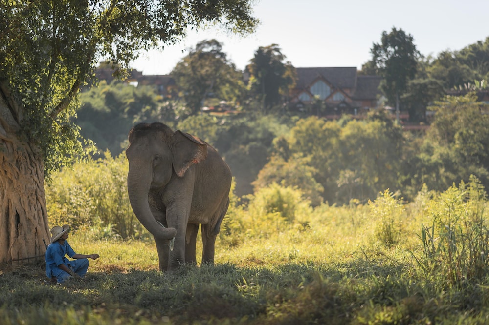 Anantara Golden Triangle Elephant Camp Resort 80/82