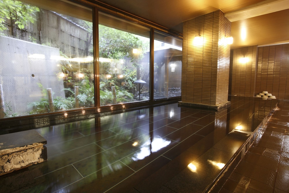 swimming pool spa
