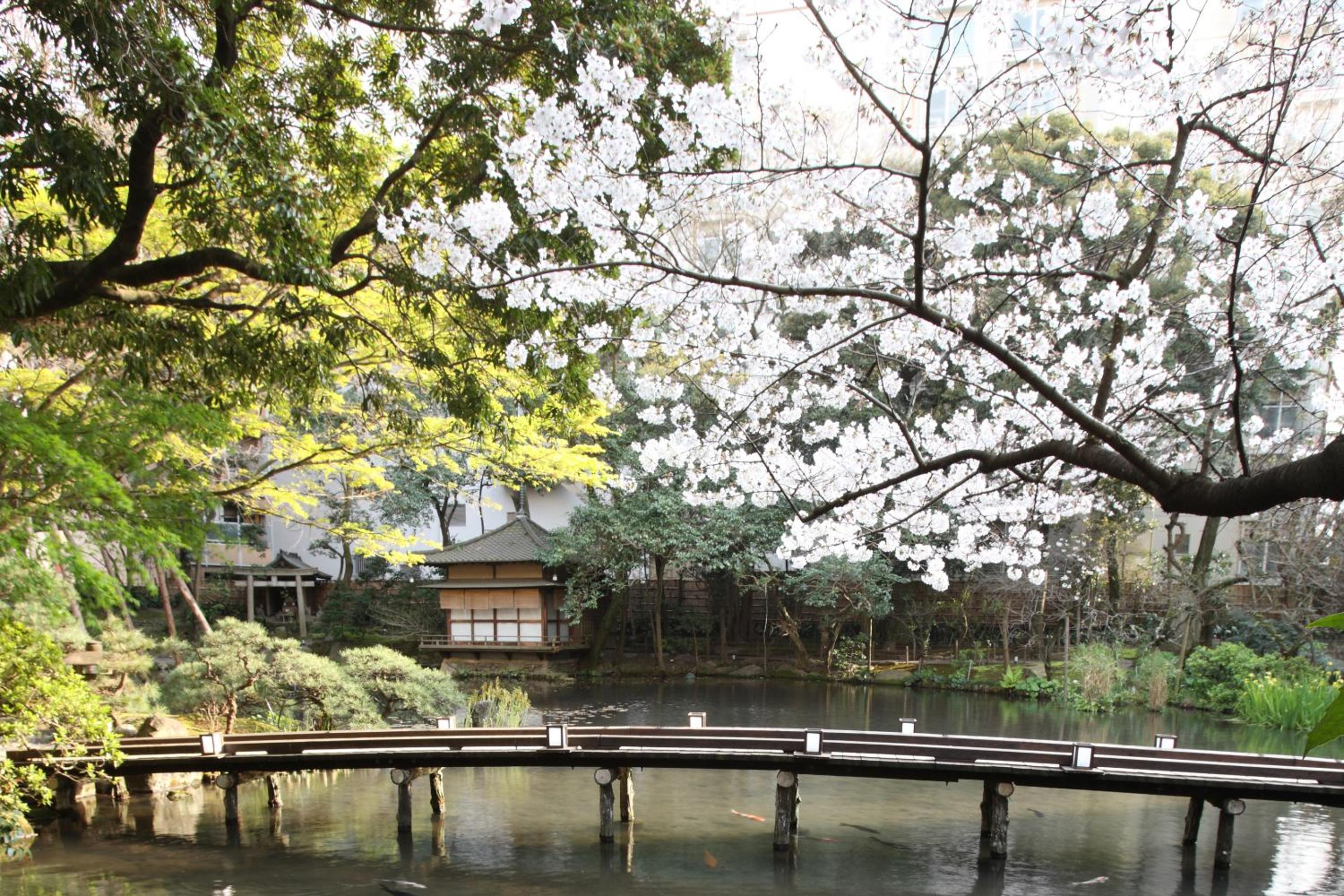 Hotel Garden Square Shizuoka 42/46