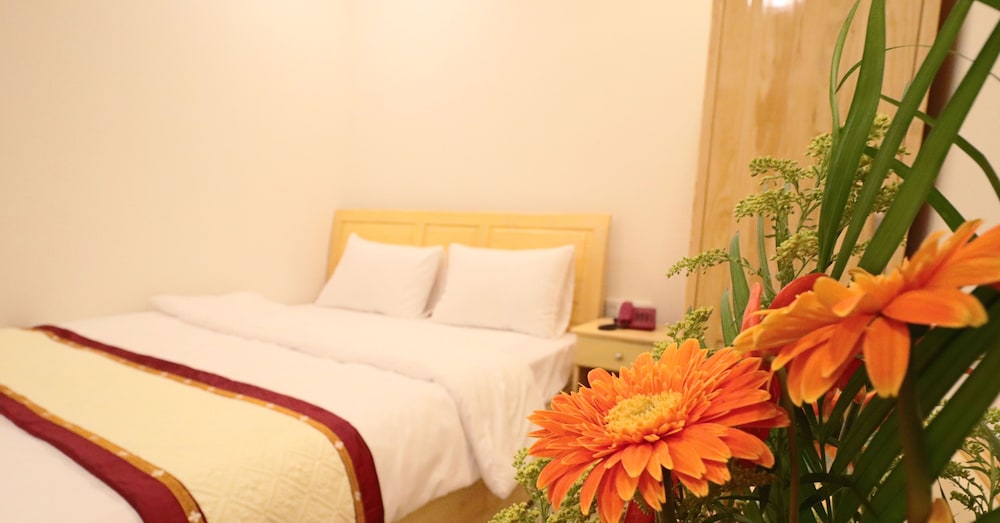 Mai Hoang Hotel 28/70