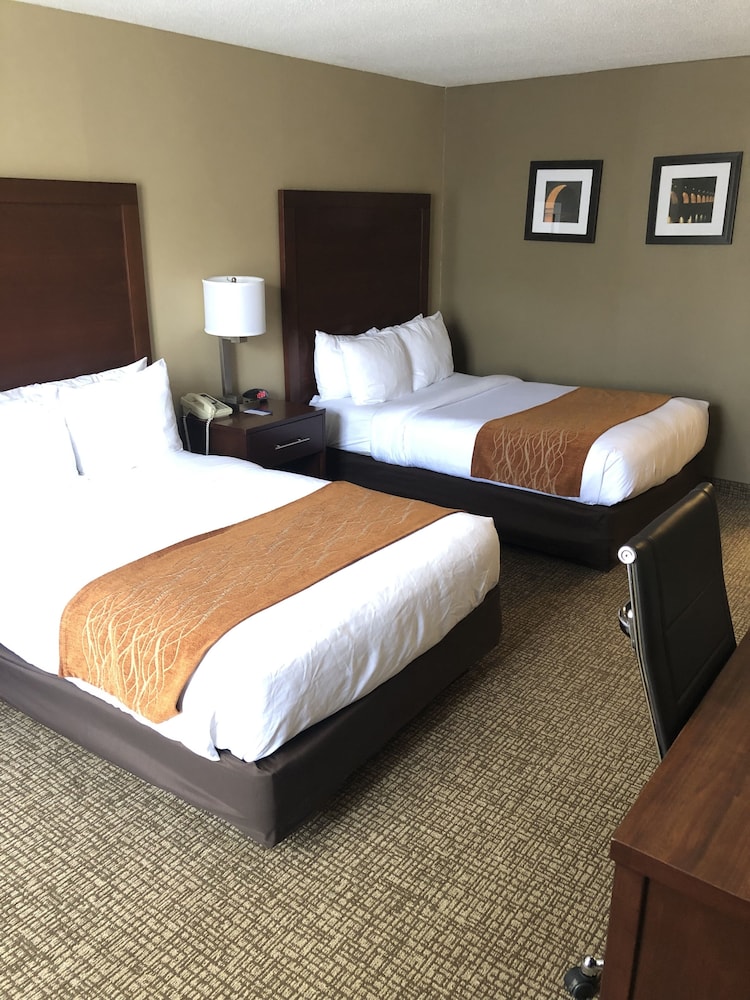 ROOM, 2 DOUBLE BEDS, ACCESSIBLE