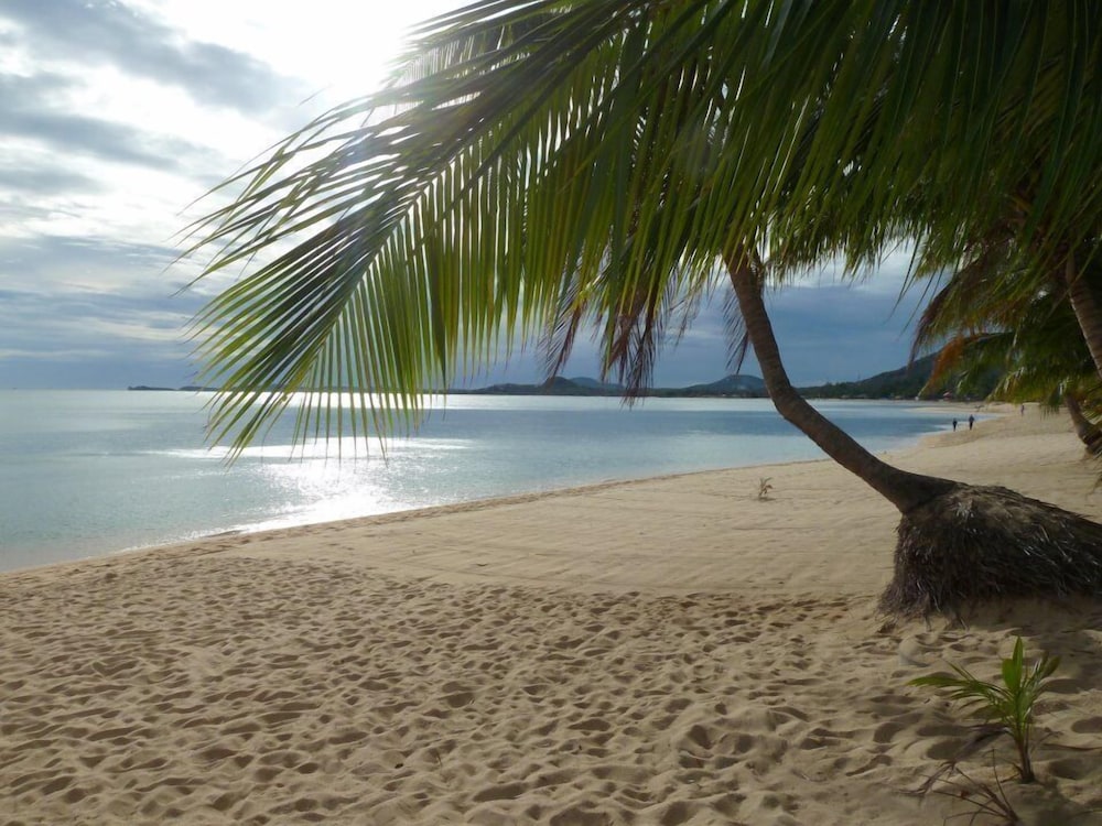 Palm Point Village 40/50
