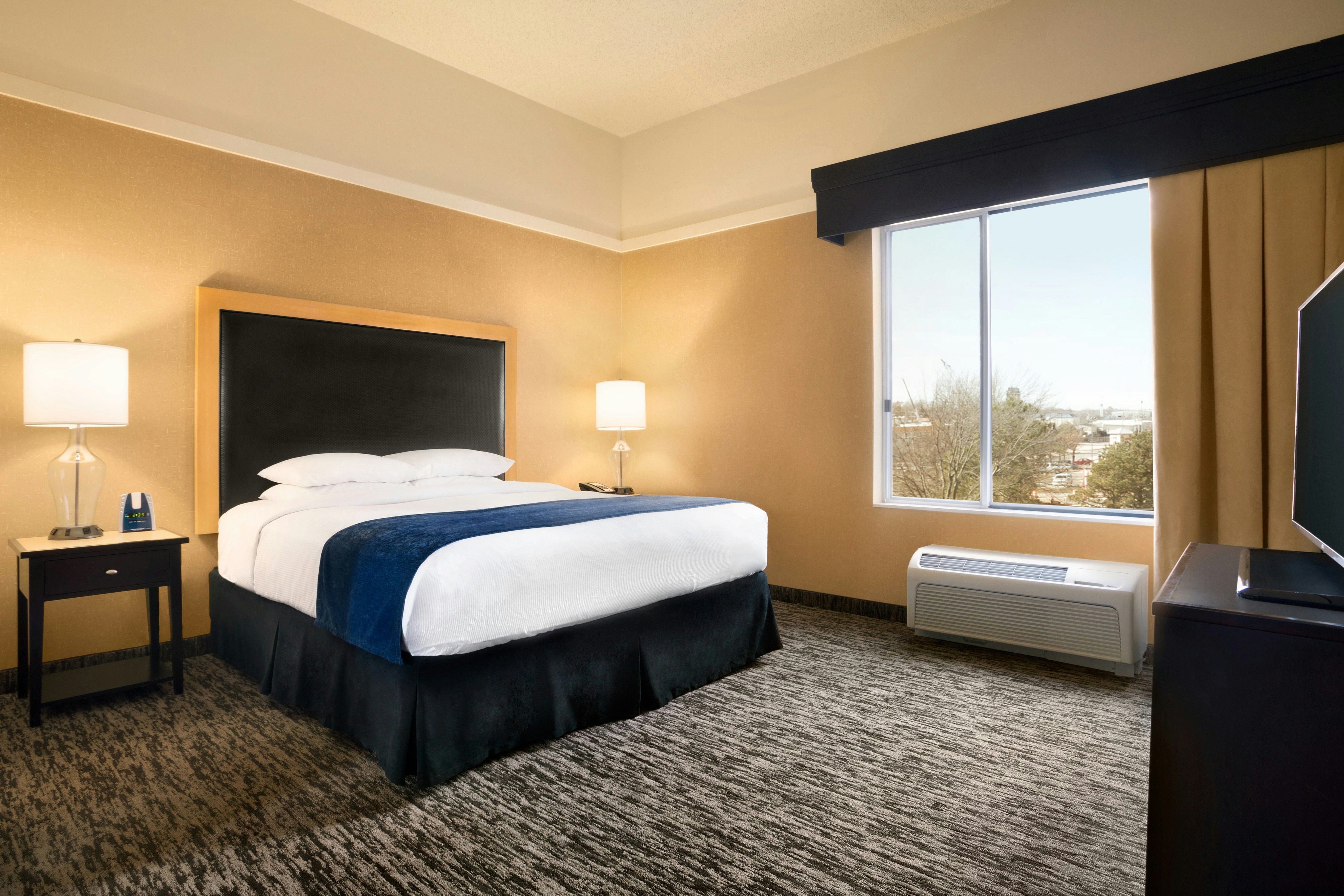 ROOM, KING BED, SOFA
