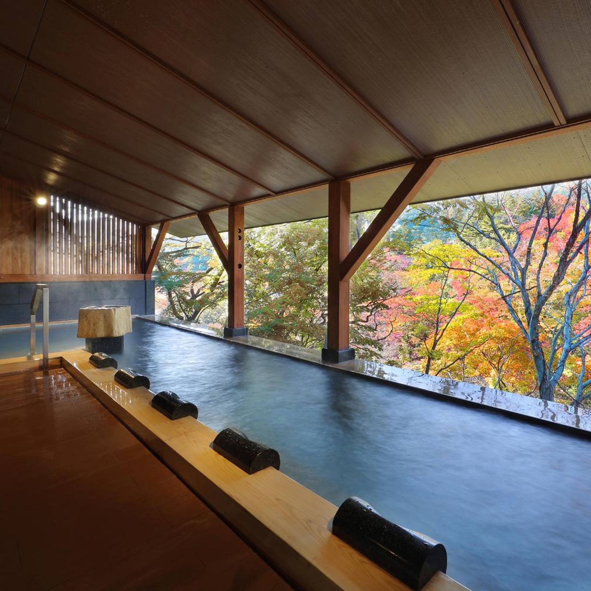 Tanigawa Hotel Nanaeyae 32/49