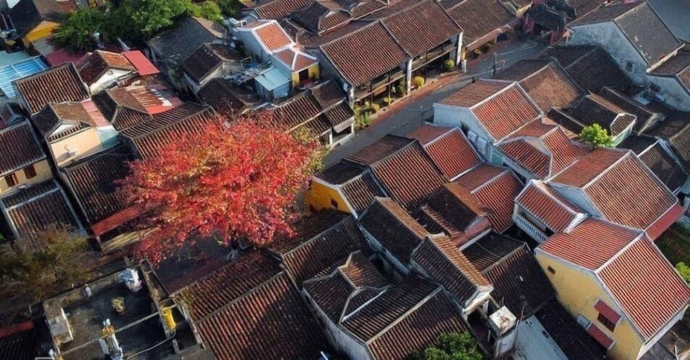 Hoian Royal Villa 66/68