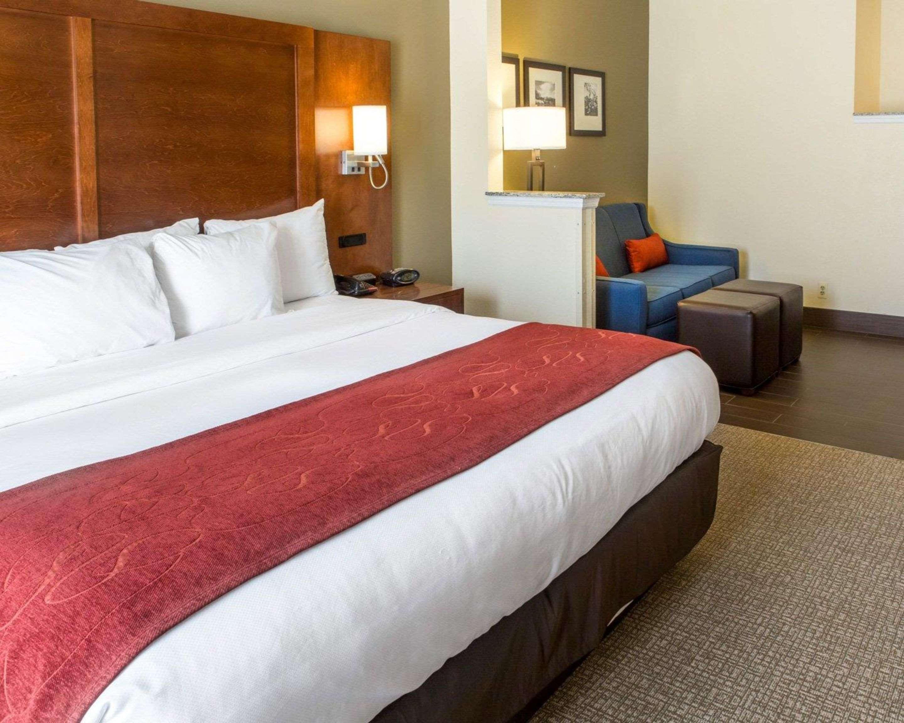 Room at Comfort Suites Newark - Harrison, NEWARK - NJ