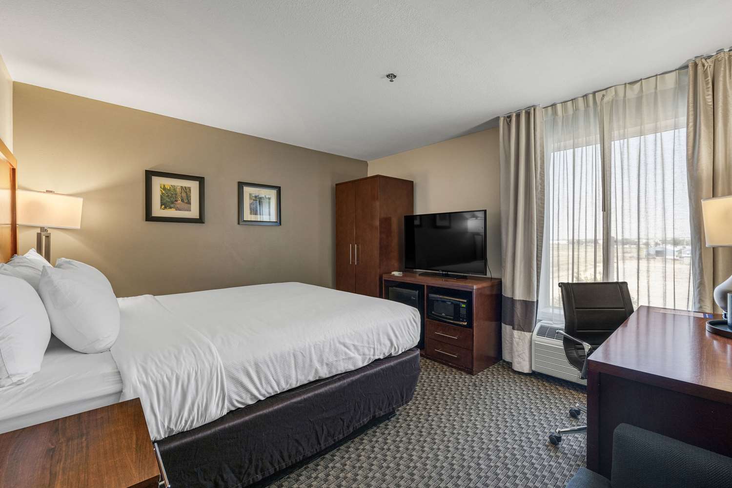 Room, King Bed