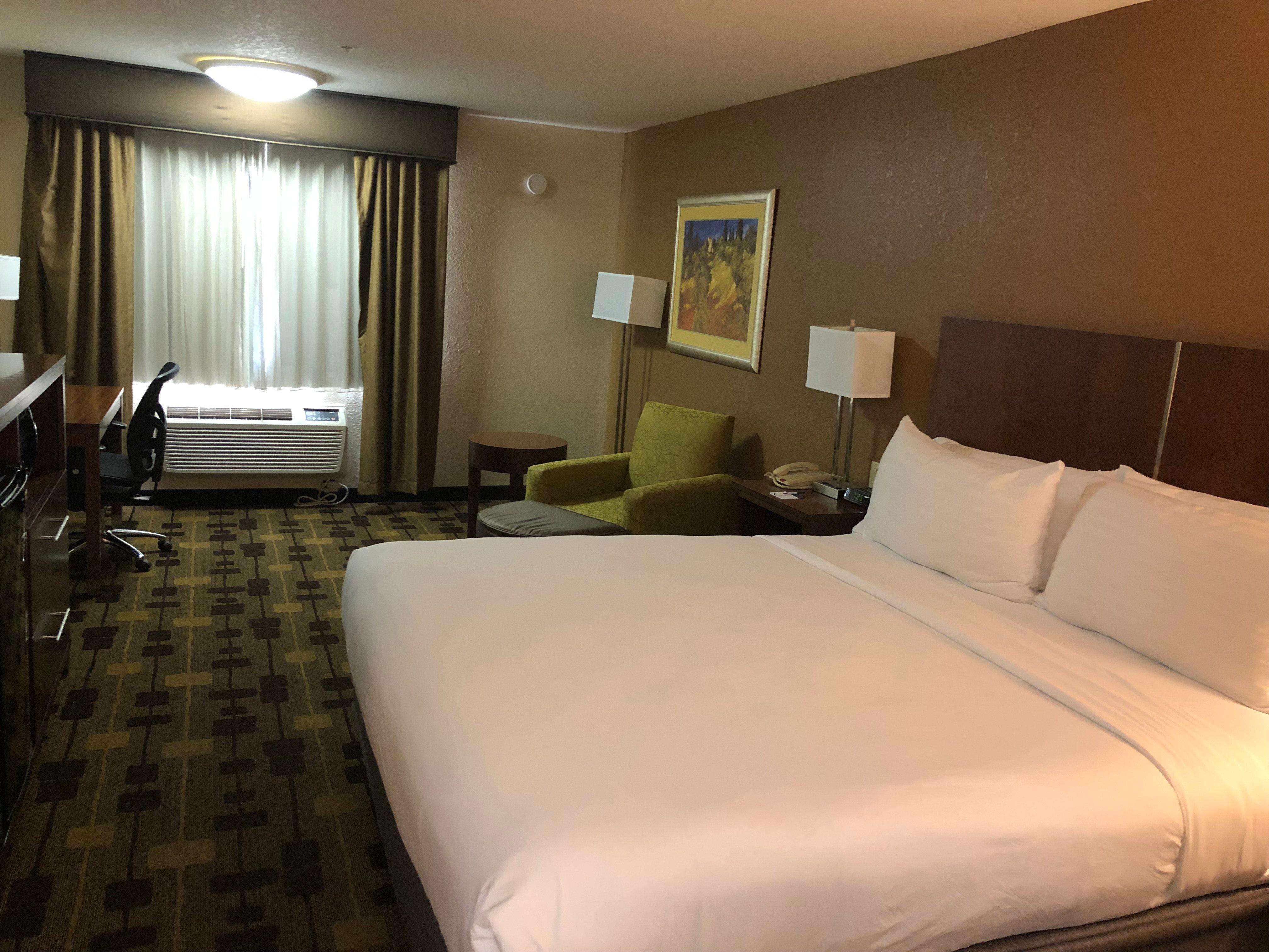 Room, King Bed
