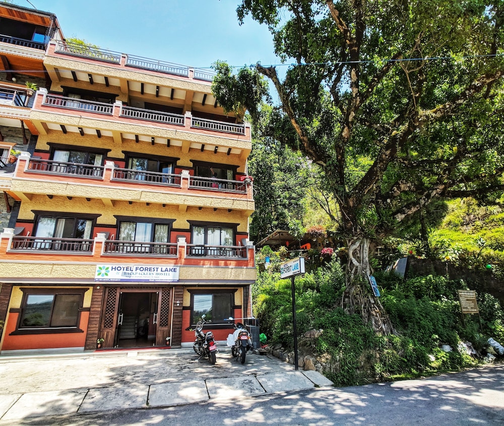 Hotel Forest Lake Backpackers' Hostel photo1