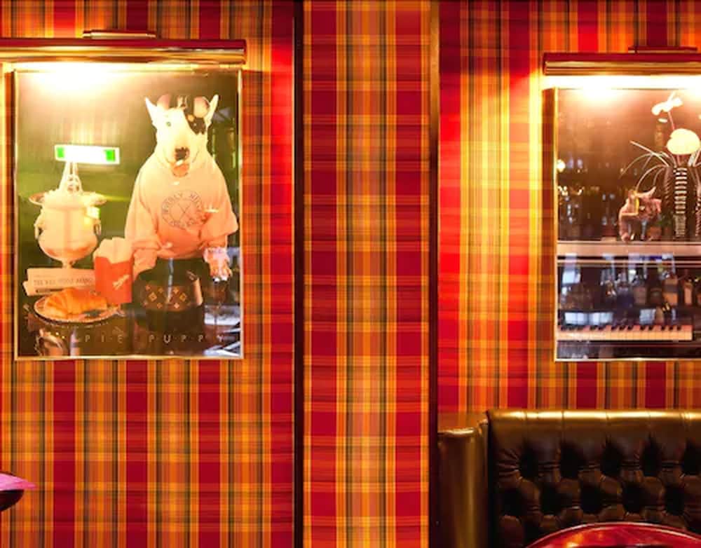City Hotel 24/36