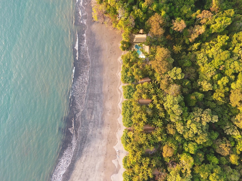 Isla Palenque Member of the Cayuga Collection 37/50