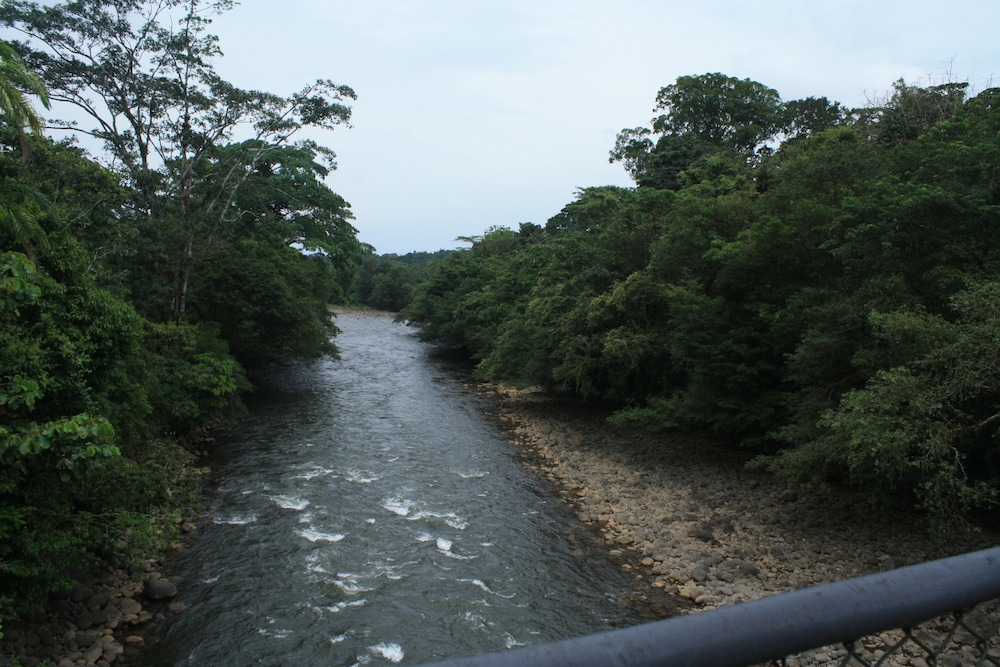 Tirimbina Rainforest Lodge 35/50