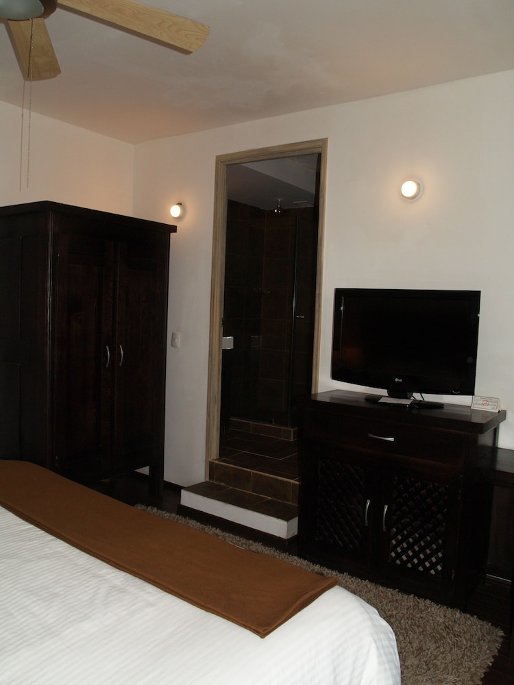 Hotel Del Portal San Miguel de Allende 28/50