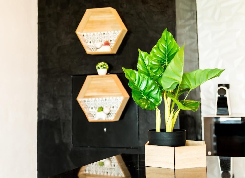 Casa Ticul 写真5
