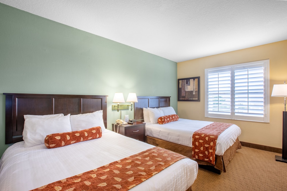 1 BEDROOM, SUITE