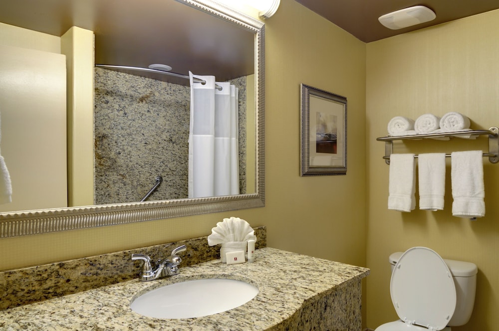 Standard, King Bed, Clarion Inn Elmhurst - Oak Brook near I-88, I-290, I-294 5/6
