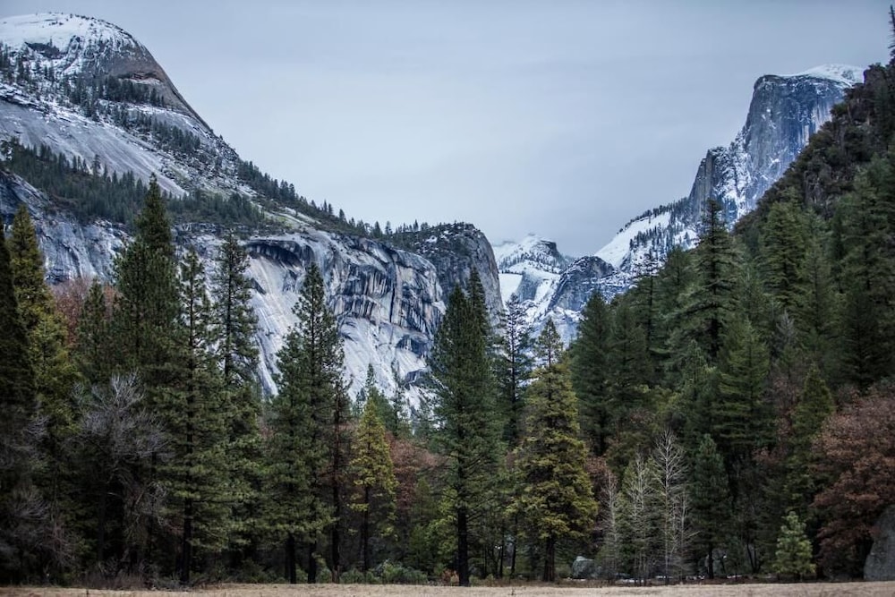 The Ahwahnee 42/50