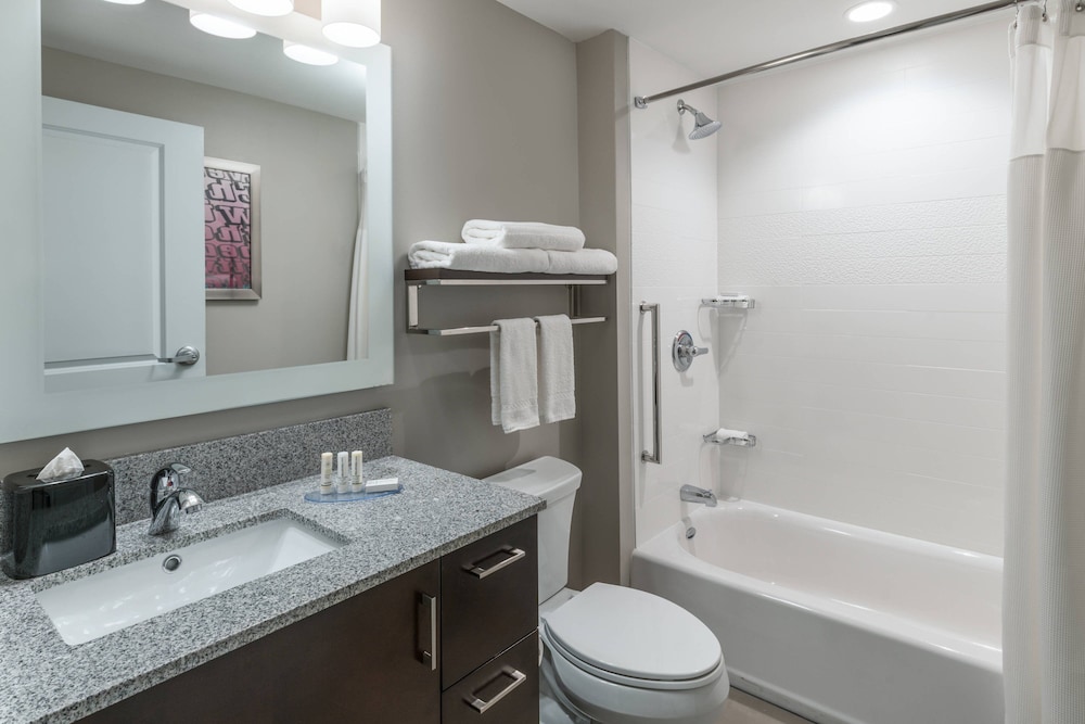 Towneplace Suites Chicago Schaumburg 13/59