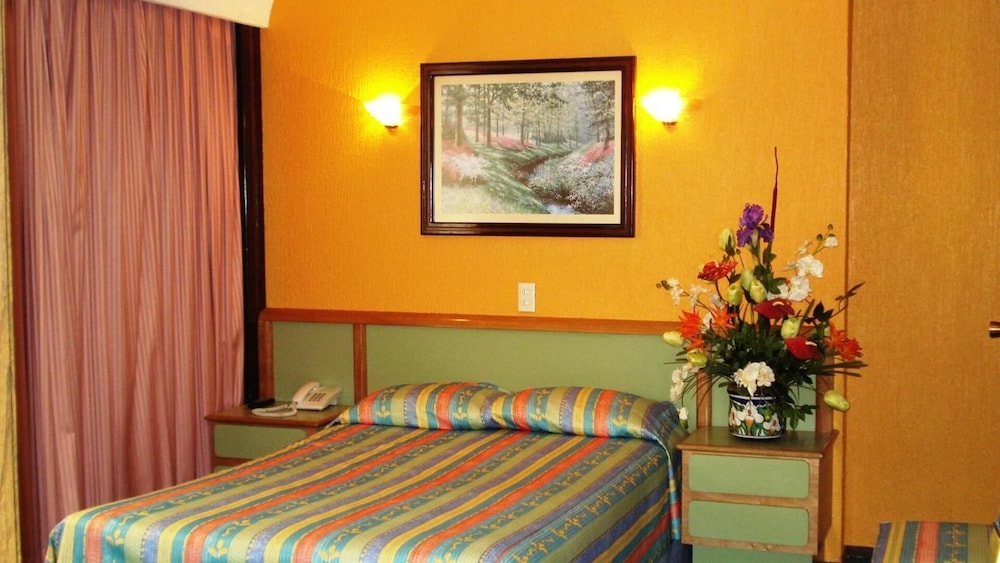 Segovia Regency Hotel 10/46